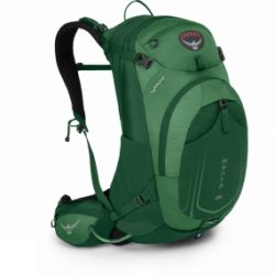 Osprey Manta AG 28 Rucksack Spruce Green